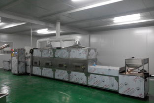 微波干燥设备价格 大枣微波烘干机,微波,微波干燥机多图批发价格 济南市